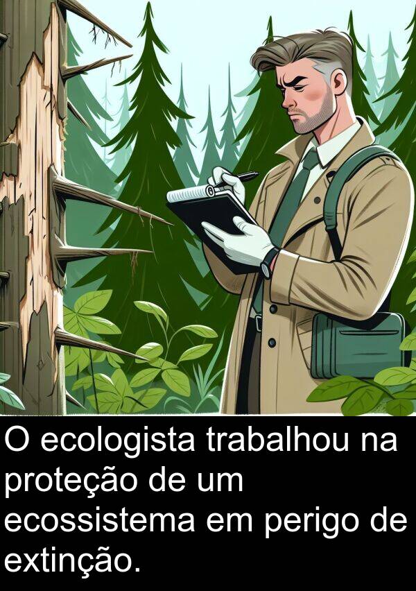 proteção: O ecologista trabalhou na proteção de um ecossistema em perigo de extinção.