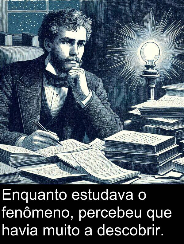 descobrir: Enquanto estudava o fenômeno, percebeu que havia muito a descobrir.