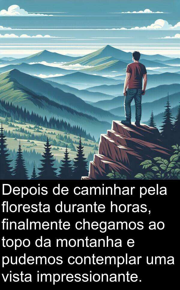 caminhar: Depois de caminhar pela floresta durante horas, finalmente chegamos ao topo da montanha e pudemos contemplar uma vista impressionante.