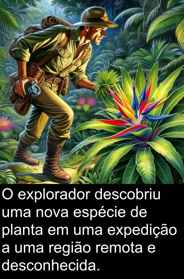 remota: O explorador descobriu uma nova espécie de planta em uma expedição a uma região remota e desconhecida.