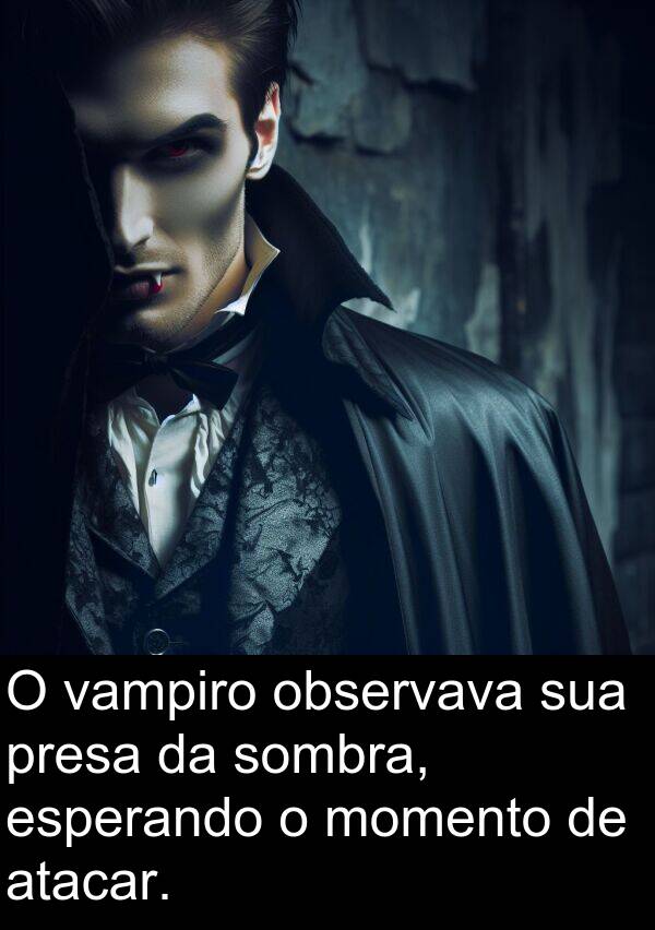 momento: O vampiro observava sua presa da sombra, esperando o momento de atacar.
