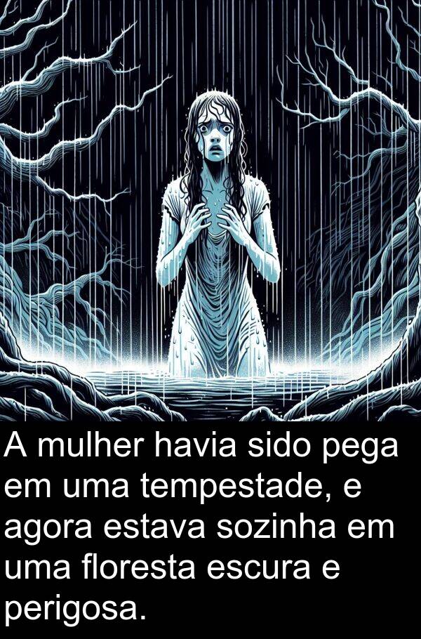 perigosa: A mulher havia sido pega em uma tempestade, e agora estava sozinha em uma floresta escura e perigosa.