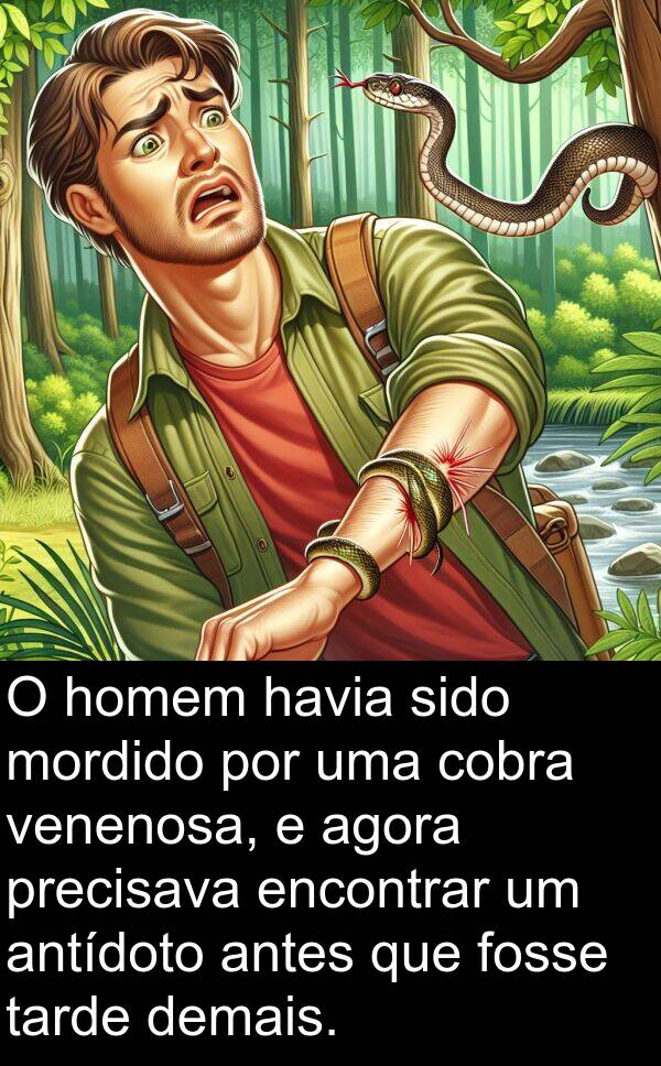 venenosa: O homem havia sido mordido por uma cobra venenosa, e agora precisava encontrar um antídoto antes que fosse tarde demais.