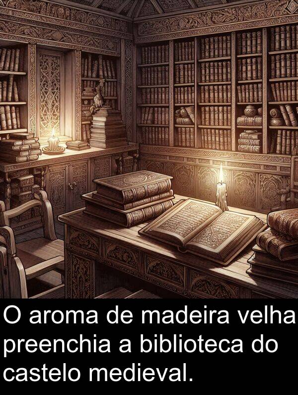 velha: O aroma de madeira velha preenchia a biblioteca do castelo medieval.