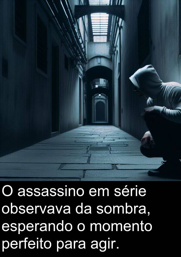 momento: O assassino em série observava da sombra, esperando o momento perfeito para agir.