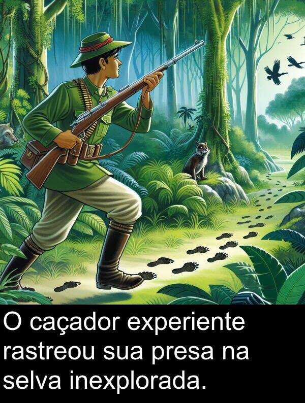 presa: O caçador experiente rastreou sua presa na selva inexplorada.