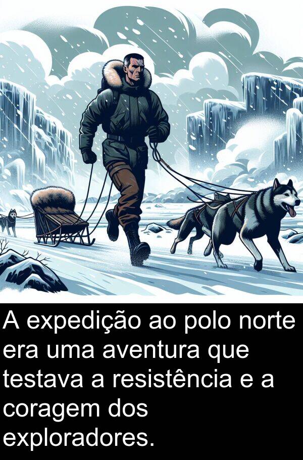 coragem: A expedição ao polo norte era uma aventura que testava a resistência e a coragem dos exploradores.