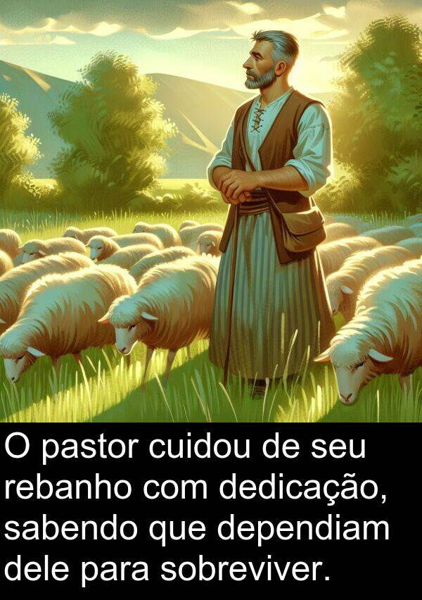 sabendo: O pastor cuidou de seu rebanho com dedicação, sabendo que dependiam dele para sobreviver.