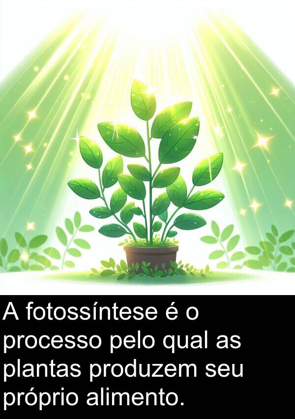 fotossíntese: A fotossíntese é o processo pelo qual as plantas produzem seu próprio alimento.