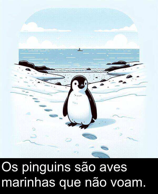 não: Os pinguins são aves marinhas que não voam.
