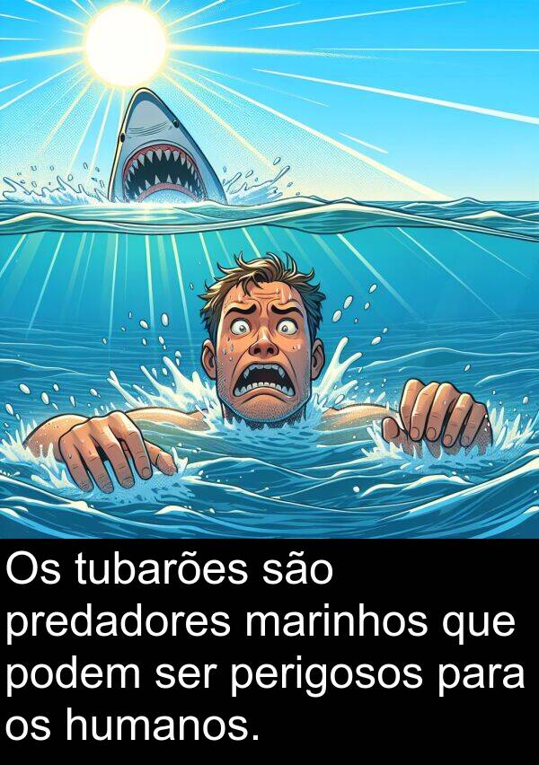 perigosos: Os tubarões são predadores marinhos que podem ser perigosos para os humanos.