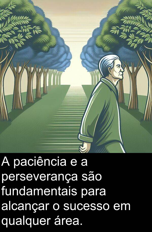 paciência: A paciência e a perseverança são fundamentais para alcançar o sucesso em qualquer área.