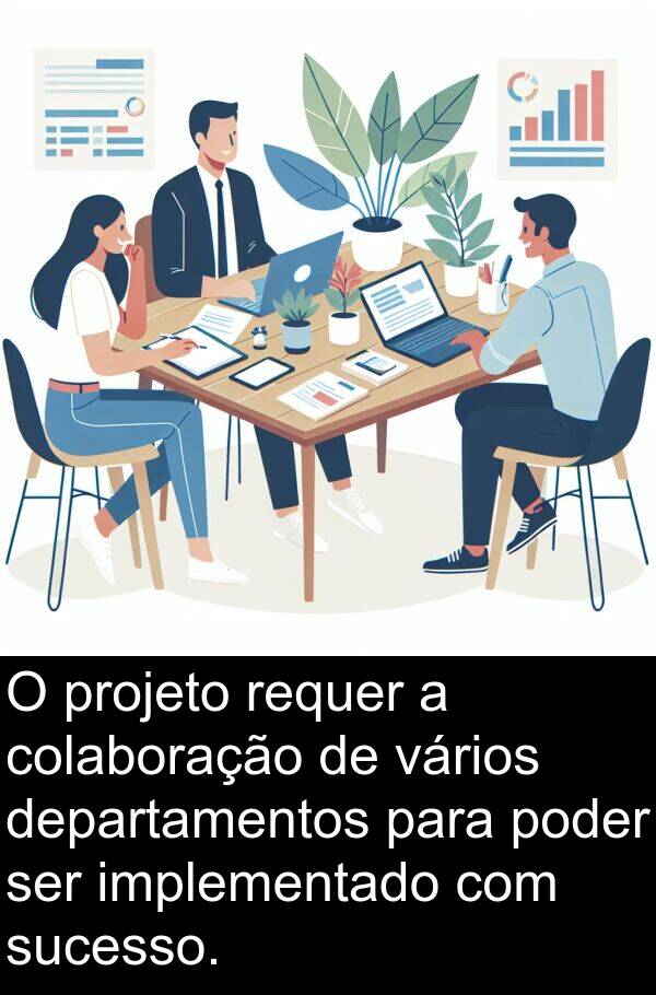 vários: O projeto requer a colaboração de vários departamentos para poder ser implementado com sucesso.