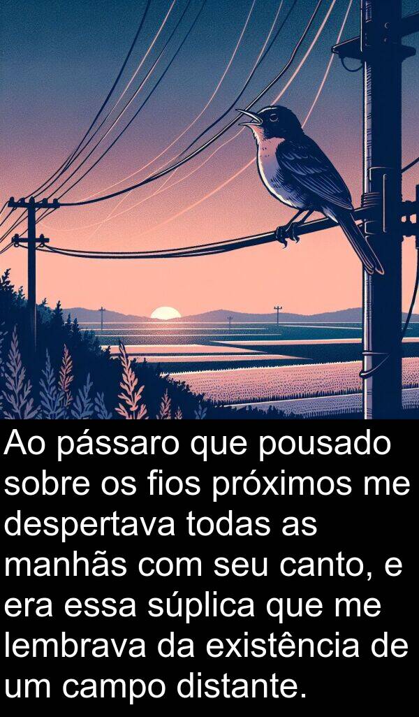 canto: Ao pássaro que pousado sobre os fios próximos me despertava todas as manhãs com seu canto, e era essa súplica que me lembrava da existência de um campo distante.