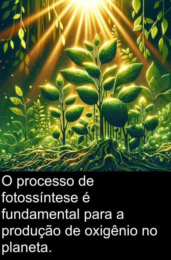 fotossíntese: O processo de fotossíntese é fundamental para a produção de oxigênio no planeta.