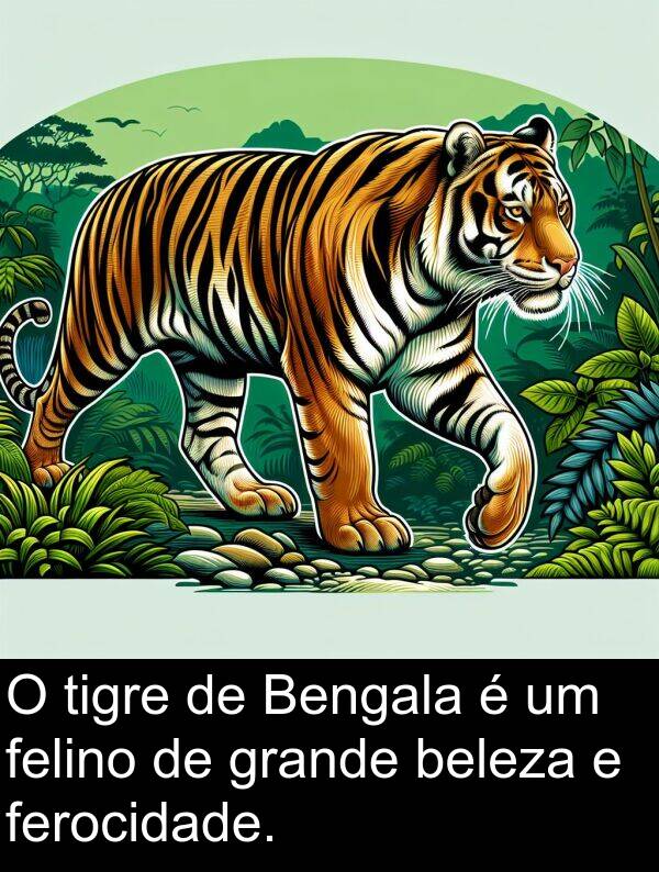 tigre: O tigre de Bengala é um felino de grande beleza e ferocidade.