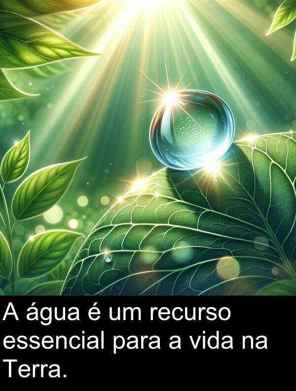 recurso: A água é um recurso essencial para a vida na Terra.