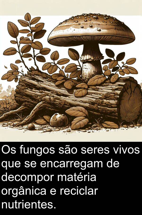 seres: Os fungos são seres vivos que se encarregam de decompor matéria orgânica e reciclar nutrientes.