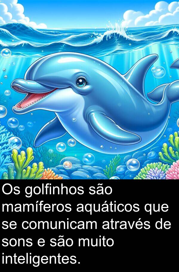 mamíferos: Os golfinhos são mamíferos aquáticos que se comunicam através de sons e são muito inteligentes.