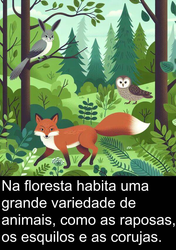 raposas: Na floresta habita uma grande variedade de animais, como as raposas, os esquilos e as corujas.