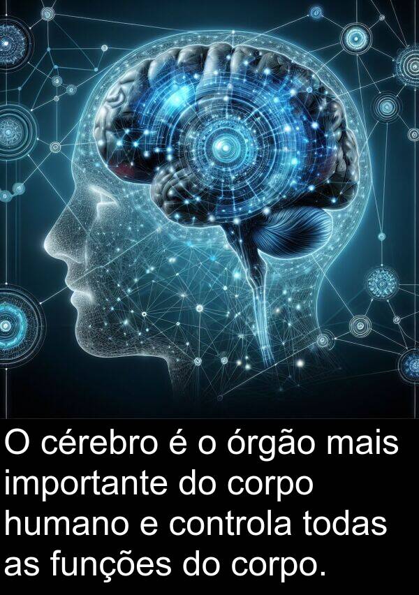 todas: O cérebro é o órgão mais importante do corpo humano e controla todas as funções do corpo.