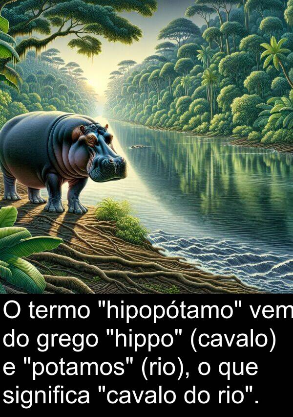 vem: O termo "hipopótamo" vem do grego "hippo" (cavalo) e "potamos" (rio), o que significa "cavalo do rio".