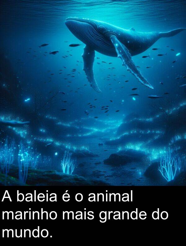 mais: A baleia é o animal marinho mais grande do mundo.