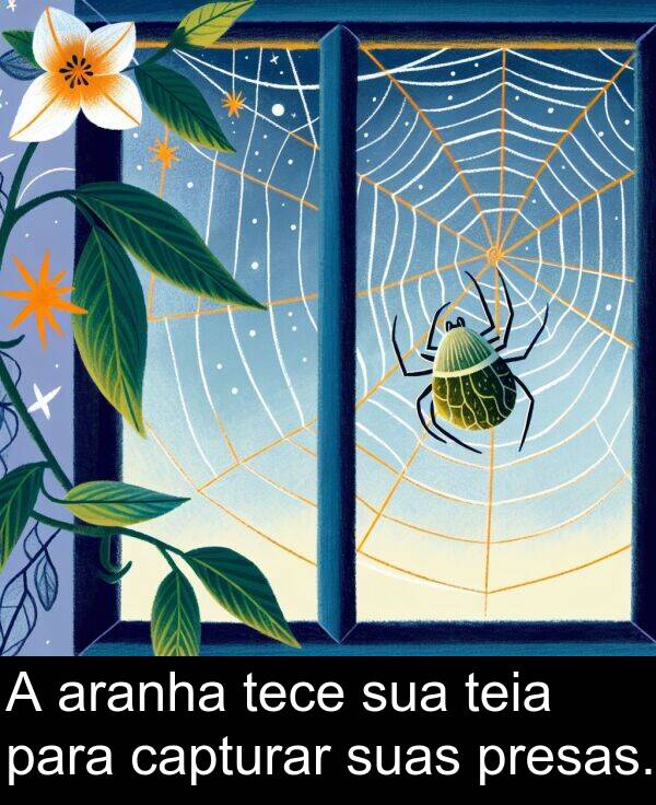 tece: A aranha tece sua teia para capturar suas presas.