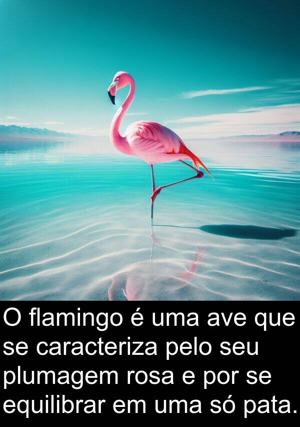 caracteriza: O flamingo é uma ave que se caracteriza pelo seu plumagem rosa e por se equilibrar em uma só pata.