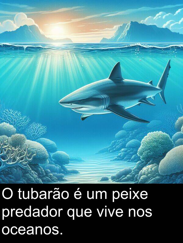 vive: O tubarão é um peixe predador que vive nos oceanos.