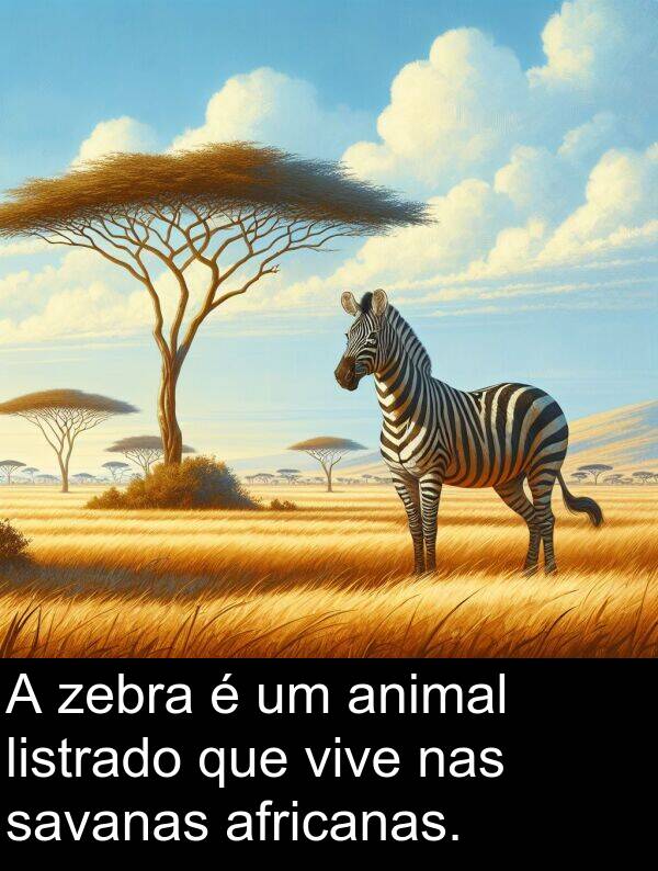 nas: A zebra é um animal listrado que vive nas savanas africanas.