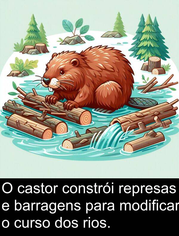 represas: O castor constrói represas e barragens para modificar o curso dos rios.