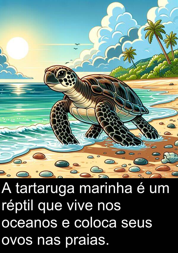 nas: A tartaruga marinha é um réptil que vive nos oceanos e coloca seus ovos nas praias.