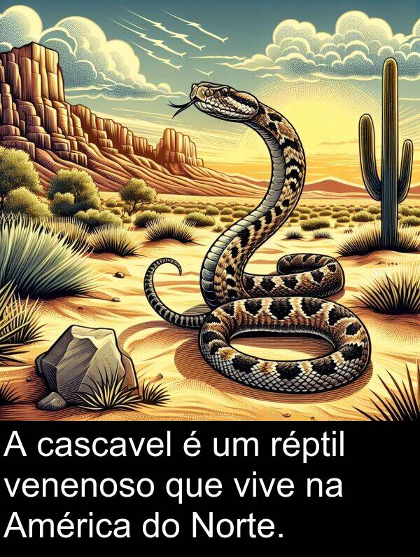 venenoso: A cascavel é um réptil venenoso que vive na América do Norte.