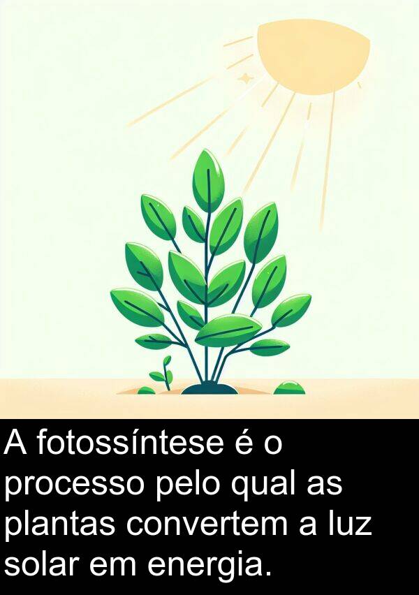 fotossíntese: A fotossíntese é o processo pelo qual as plantas convertem a luz solar em energia.