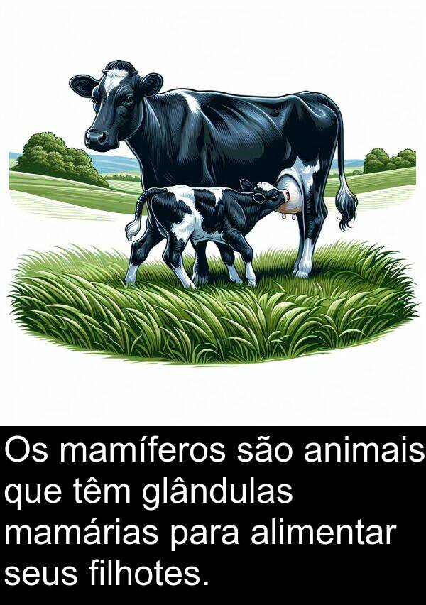 mamíferos: Os mamíferos são animais que têm glândulas mamárias para alimentar seus filhotes.