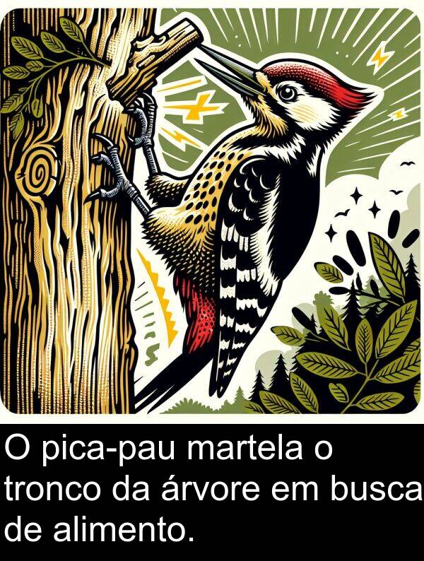 árvore: O pica-pau martela o tronco da árvore em busca de alimento.