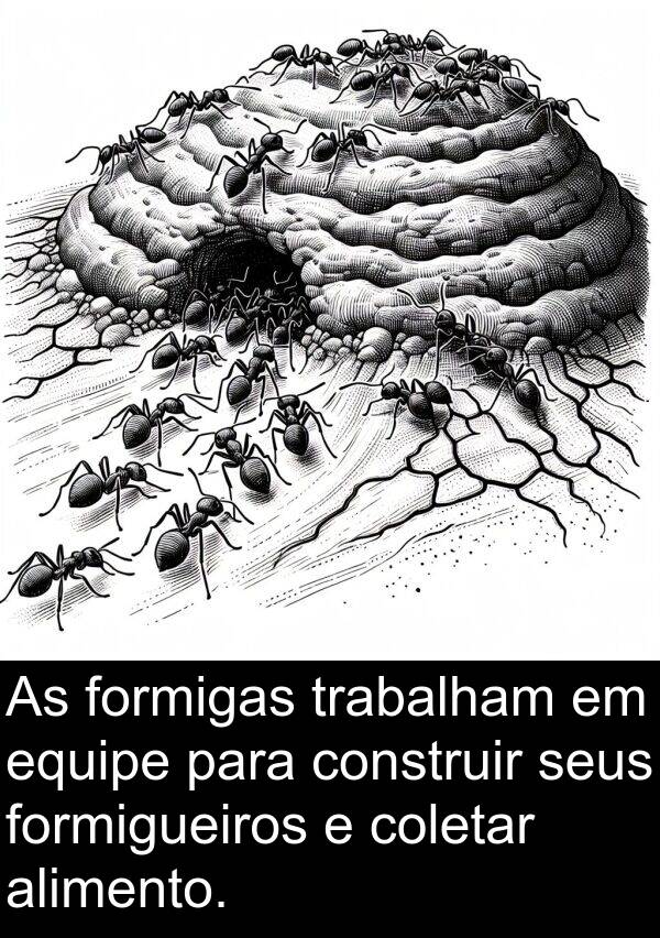 formigueiros: As formigas trabalham em equipe para construir seus formigueiros e coletar alimento.