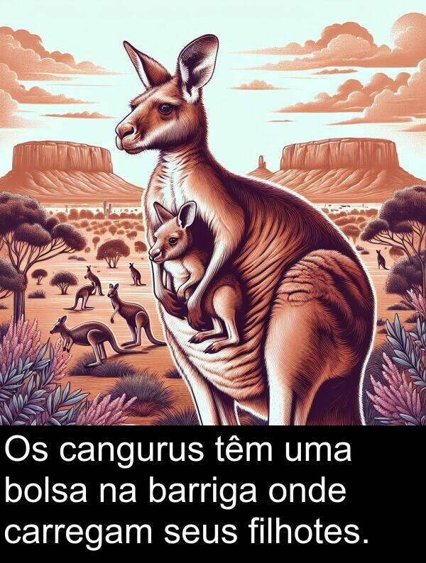 cangurus: Os cangurus têm uma bolsa na barriga onde carregam seus filhotes.