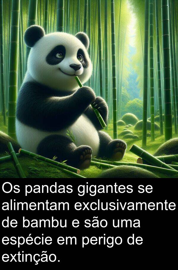 pandas: Os pandas gigantes se alimentam exclusivamente de bambu e são uma espécie em perigo de extinção.