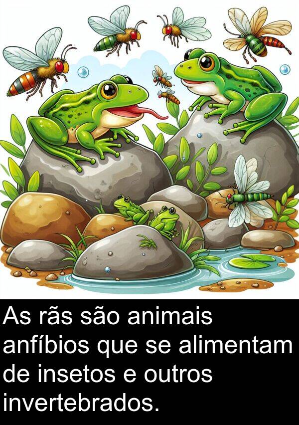 animais: As rãs são animais anfíbios que se alimentam de insetos e outros invertebrados.