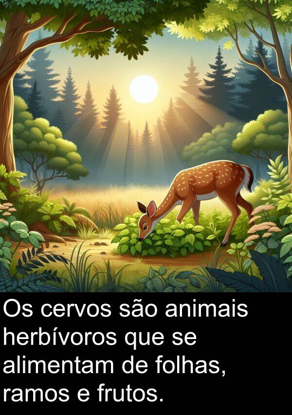 animais: Os cervos são animais herbívoros que se alimentam de folhas, ramos e frutos.