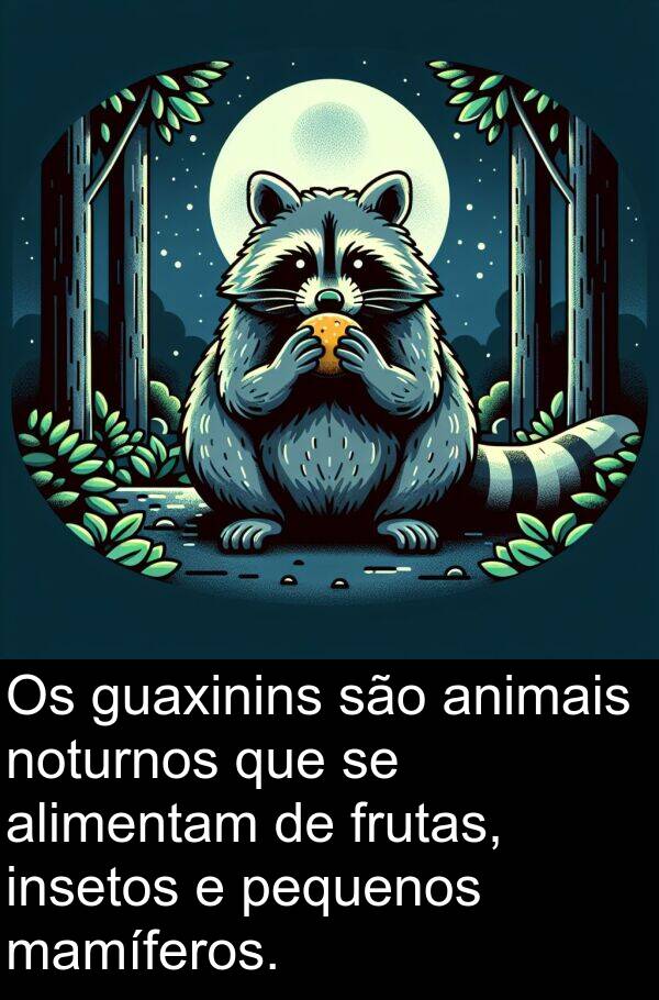 mamíferos: Os guaxinins são animais noturnos que se alimentam de frutas, insetos e pequenos mamíferos.