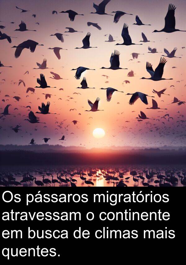 quentes: Os pássaros migratórios atravessam o continente em busca de climas mais quentes.
