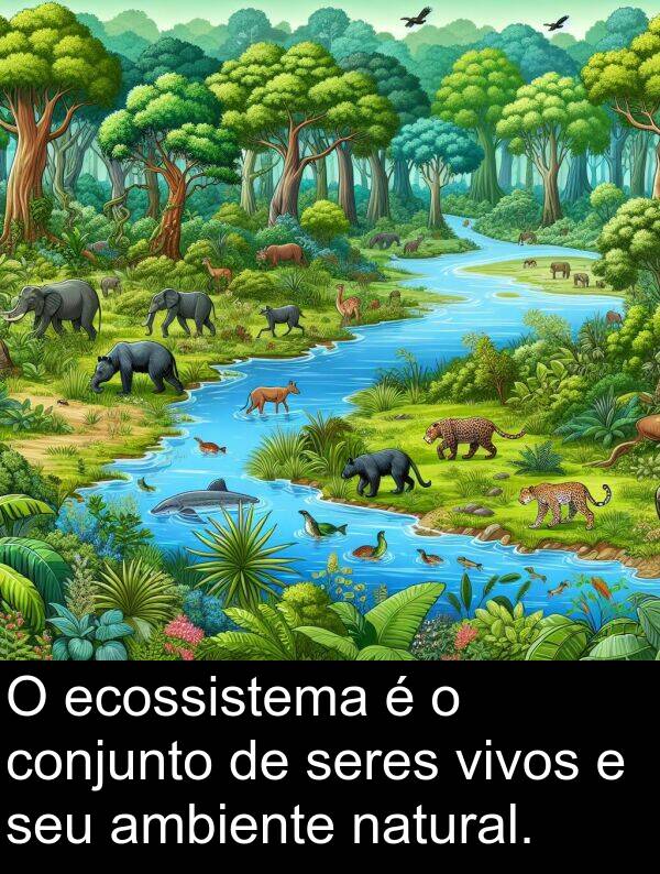 natural: O ecossistema é o conjunto de seres vivos e seu ambiente natural.