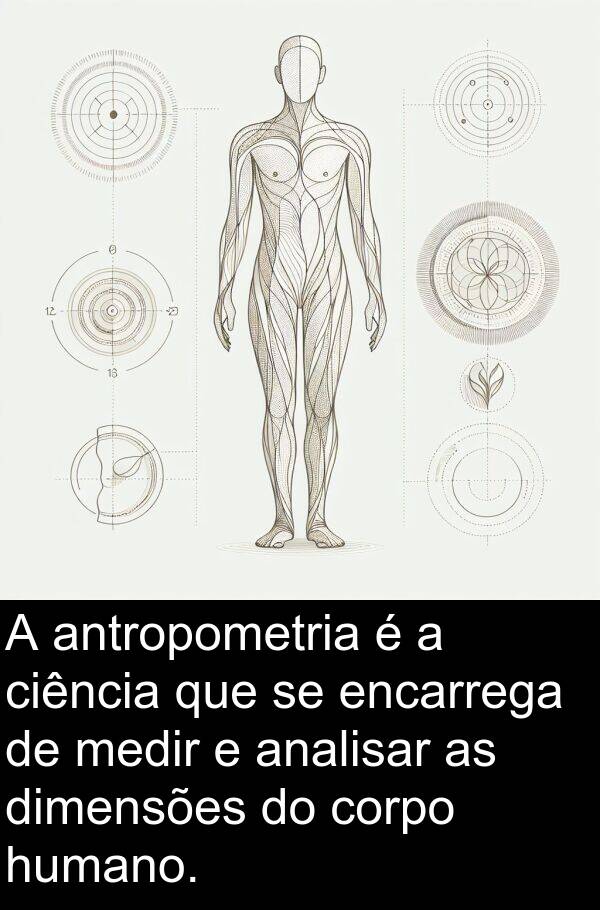 analisar: A antropometria é a ciência que se encarrega de medir e analisar as dimensões do corpo humano.