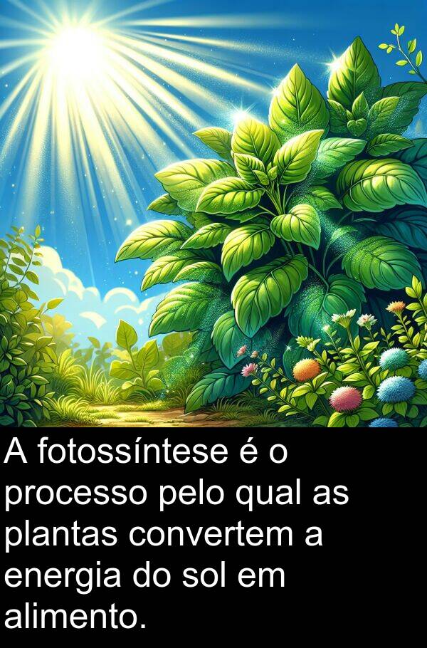 fotossíntese: A fotossíntese é o processo pelo qual as plantas convertem a energia do sol em alimento.