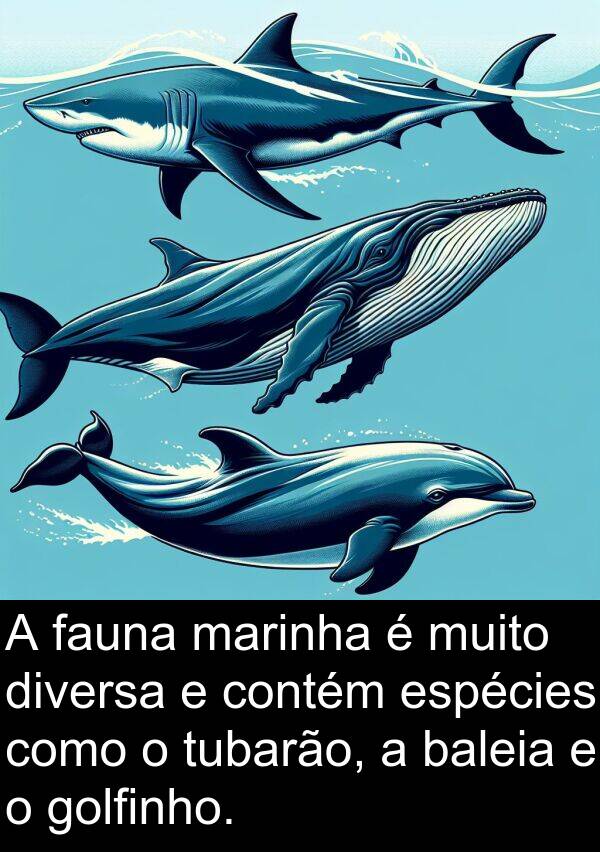 marinha: A fauna marinha é muito diversa e contém espécies como o tubarão, a baleia e o golfinho.