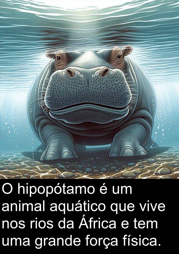 física: O hipopótamo é um animal aquático que vive nos rios da África e tem uma grande força física.