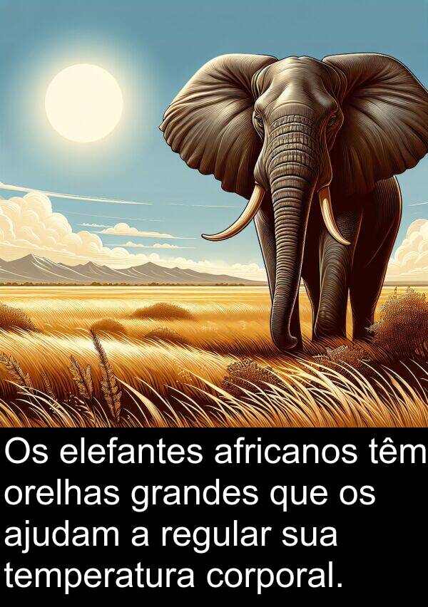 ajudam: Os elefantes africanos têm orelhas grandes que os ajudam a regular sua temperatura corporal.